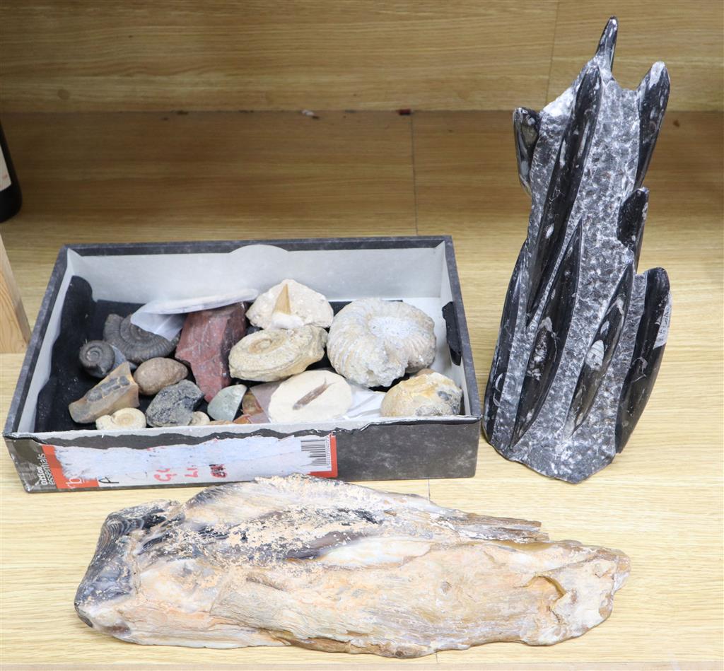 A small collection of assorted fossils, a polished gem stone, 40cm long and a polished mineral sculpture, 35cm high